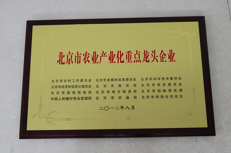 首页| 游艇会yth206最新官方网站