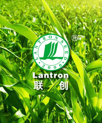 首页| 游艇会yth206最新官方网站