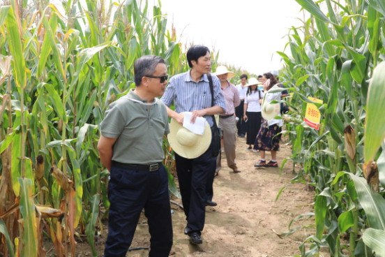 首页| 游艇会yth206最新官方网站