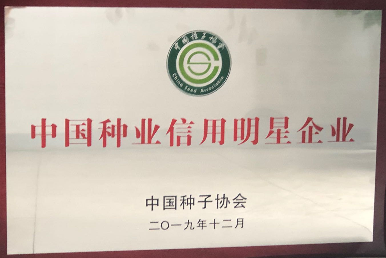 首页| 游艇会yth206最新官方网站