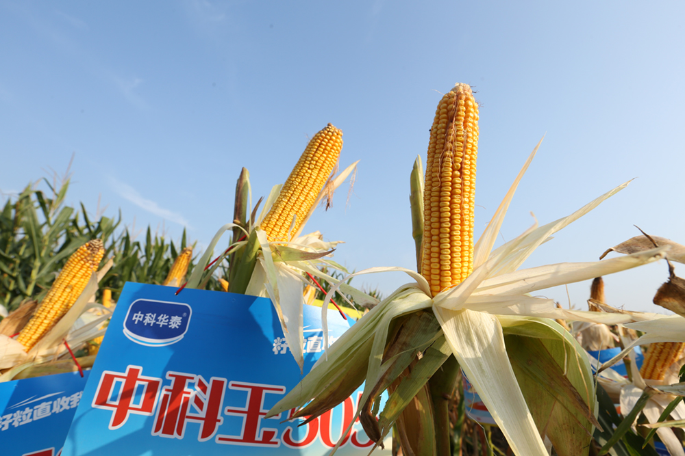 首页| 游艇会yth206最新官方网站