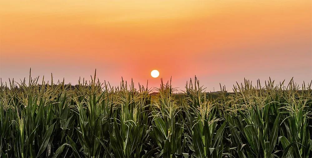 首页| 游艇会yth206最新官方网站