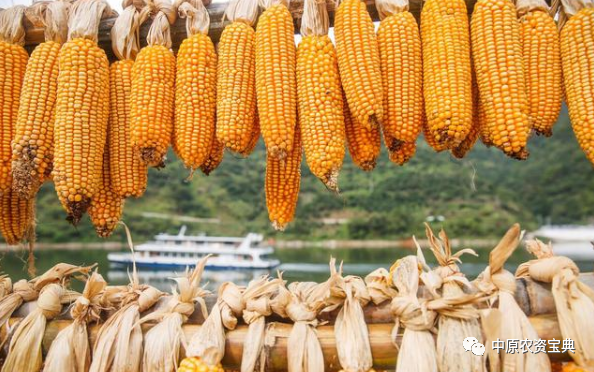 首页| 游艇会yth206最新官方网站