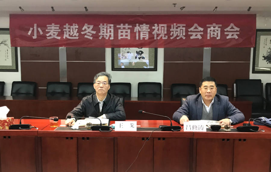 首页| 游艇会yth206最新官方网站