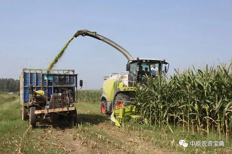 首页| 游艇会yth206最新官方网站