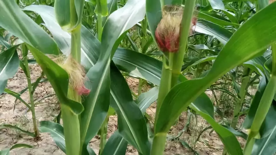 首页| 游艇会yth206最新官方网站