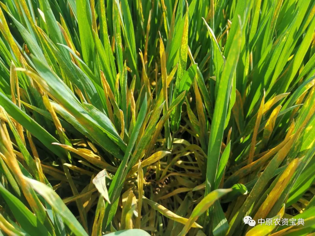 首页| 游艇会yth206最新官方网站