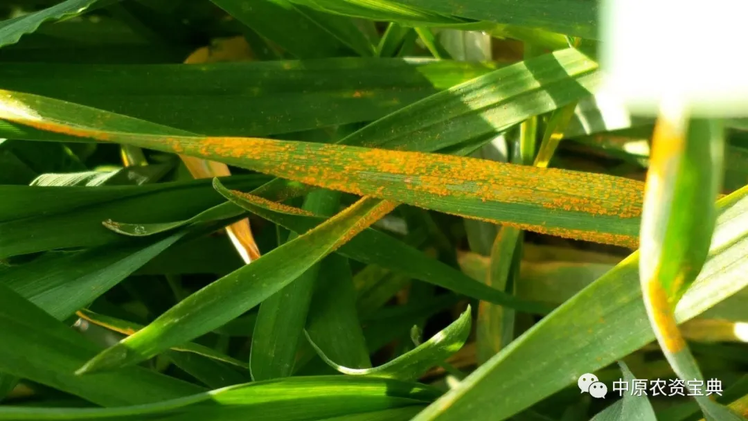 首页| 游艇会yth206最新官方网站