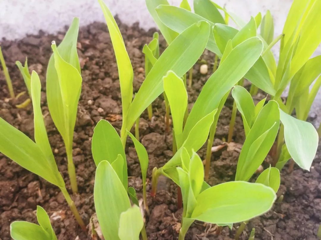 首页| 游艇会yth206最新官方网站