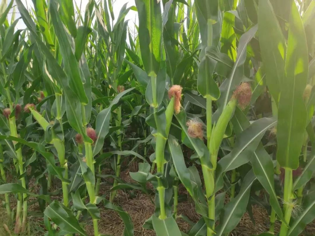 首页| 游艇会yth206最新官方网站