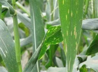 首页| 游艇会yth206最新官方网站