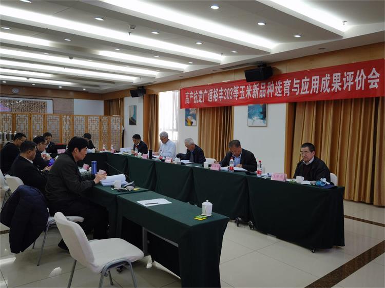 首页| 游艇会yth206最新官方网站